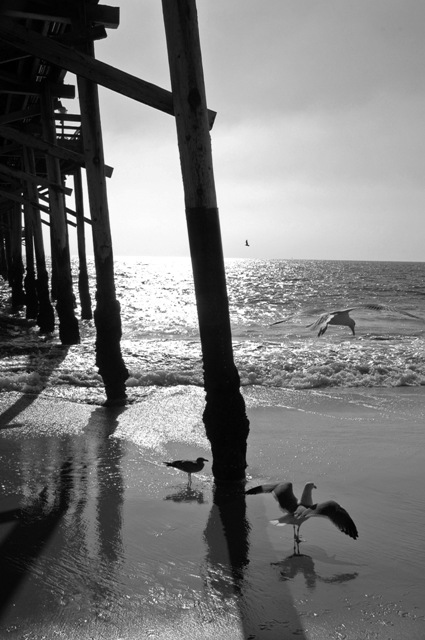 Newport Beach Pier